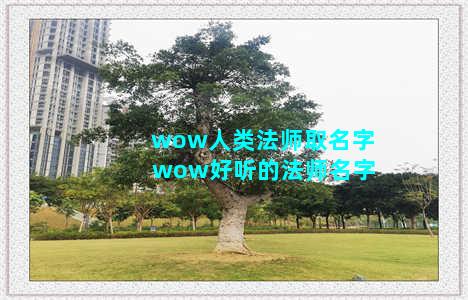 wow人类法师取名字 wow好听的法师名字